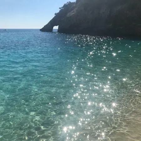 Porto Corallo Ippocampo *
